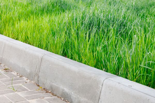 Concrete Curb Repair in Arlington Heights